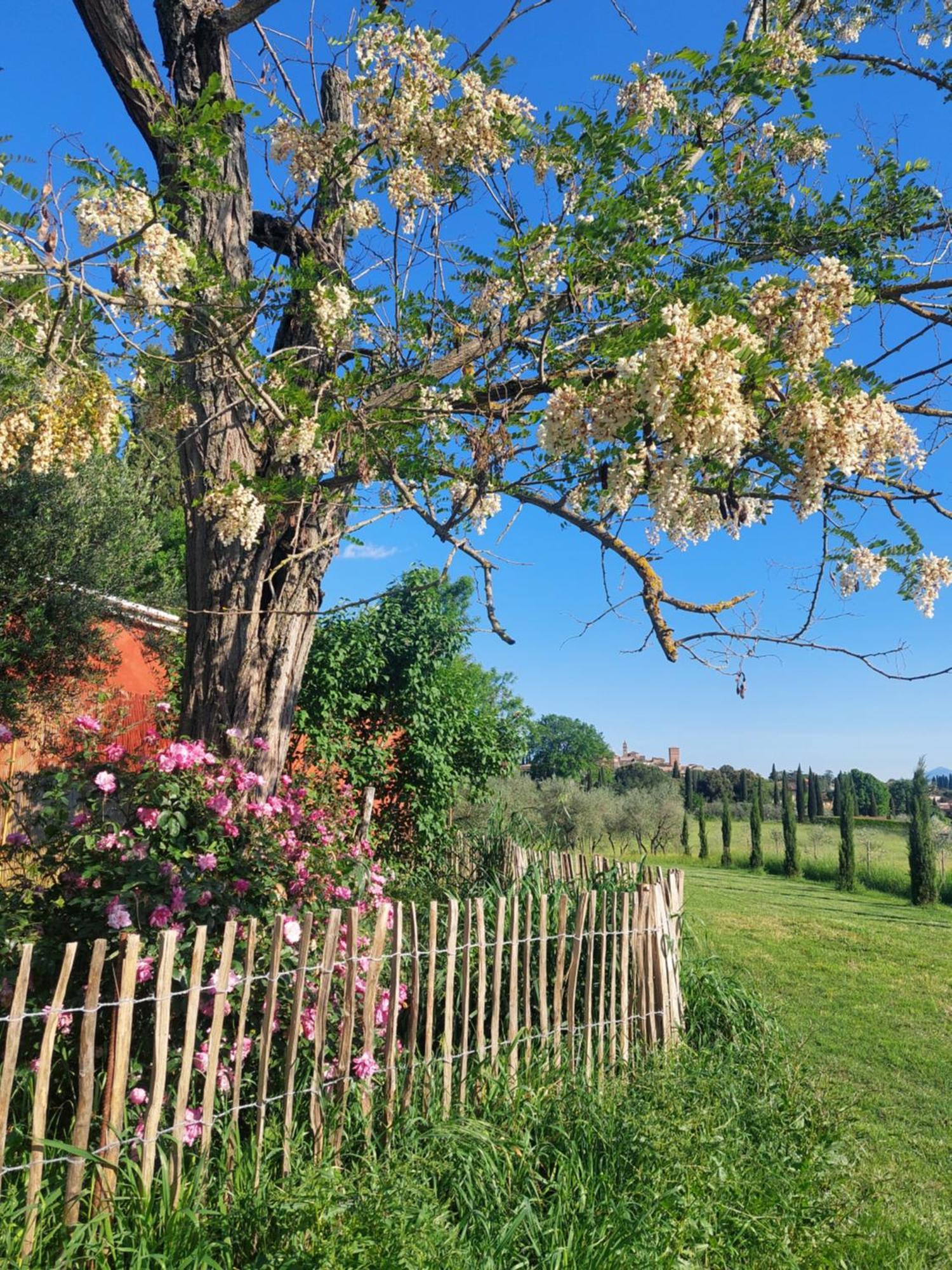 Casa Ezio Marchi - Due Appartamenti E Una Family Suite Bettolle Exterior photo